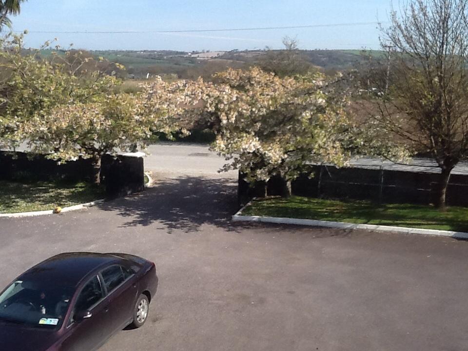 Carrigshane House Bed & Breakfast Midleton Dış mekan fotoğraf